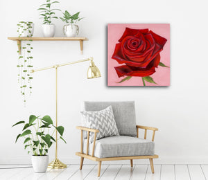 "True Love, Red Rose" Original Oil Painting 20” X 20”